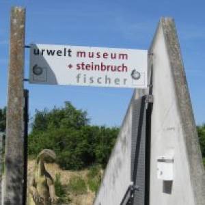 Urwelt-Steinbruch Holzmaden (c) alex grom