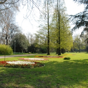 Der Kaiser-Wilhelm-Park in Essen