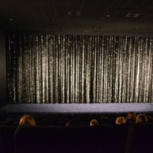 Blick in den Kinosaal