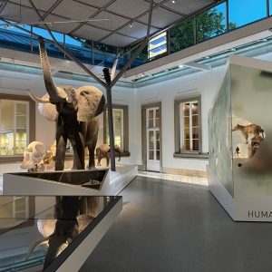 Naturkundemuseum in Schloss Rosenstein stuttgart ausflugstipp mamilade