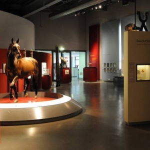 Westfälisches Pferdemuseum Münster