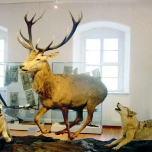 (c) Jagd- und Fischereimuseum Schloss Tambach e.V.
