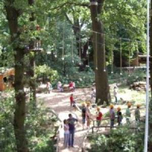 Blick auf den Abenteuerpark Sea Tree Steinhuder Meer (c) Schattenspringer Blick auf den SeaTree Abenteuerpark Steinhuder Meer