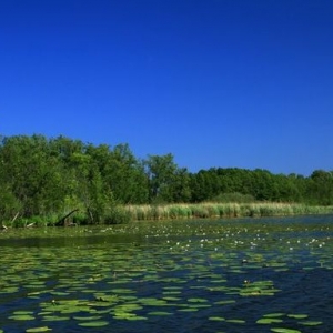 Sielmanns Naturlandschaft Groß Schauener Seen