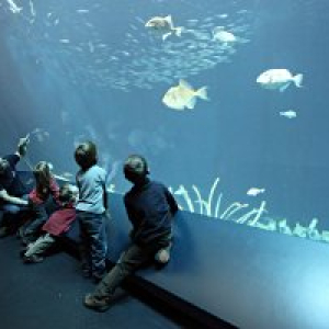 © Ozeaneum Stralsund, Foto: Johannes-Maria Schlorke, 2009 Kindergeburtstag im OZEANEUM in Stralsund