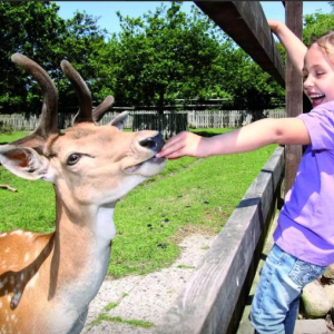 (c) Sylt tierpark tinnum sylt ausflugstipp mamilade