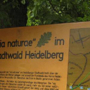 Infotafel via naturae Heidelberg