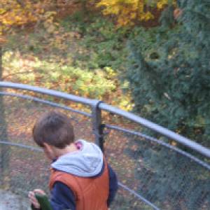 (c) alex grom Kind im Herbstwald