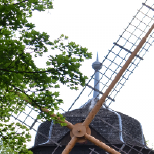 Flügel einer Windmühle