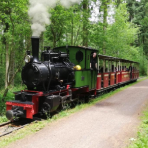 Fahrt mit der Stumpfwaldbahn