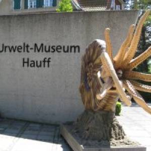 Urweltmuseum Hauff Holzmaden (c) alex grom