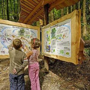 Kinder vor dem Naturlexikon Naturerlebnispfad Oberhamersbach