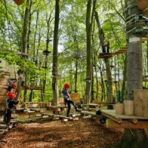 AbenteuerPark Potsdam - Kletterwald, Kinderevents, Schulklassenprogramme und Geburtstage für alle Kids