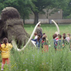 Kinder mit Mammut