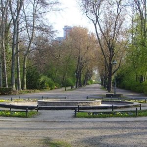 Stadtpark Steglitz
