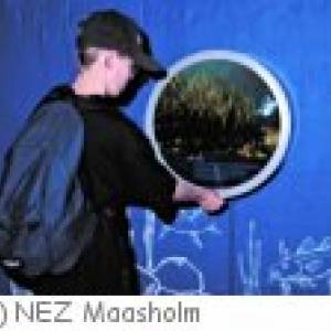 Maasholm NEZ Ausstellung