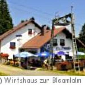 Fichtelberg-Neuhaus Wirtshaus zur Bleamlalm