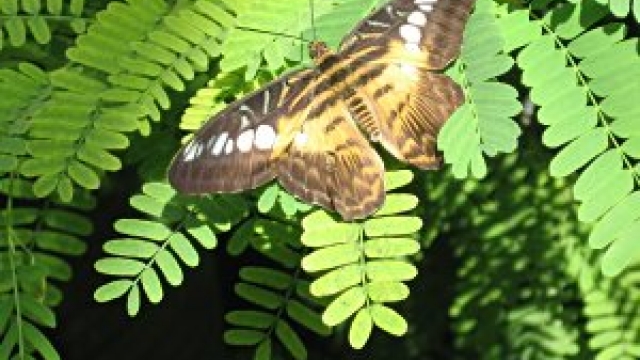 Botanischer Garten Augsburg