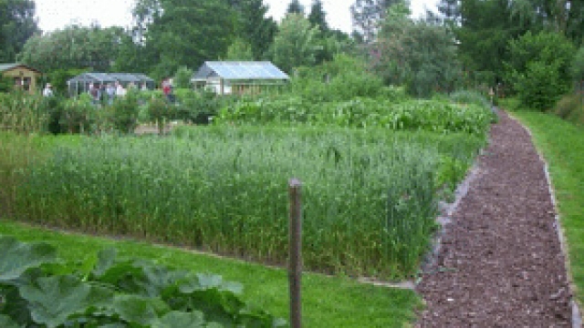 Biogarten Prieros