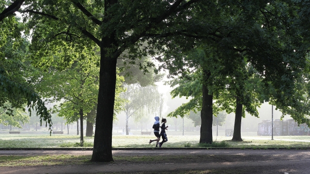 (c) pixabay wanderung clara zetkin park leipzig ausflugstipp mamilade