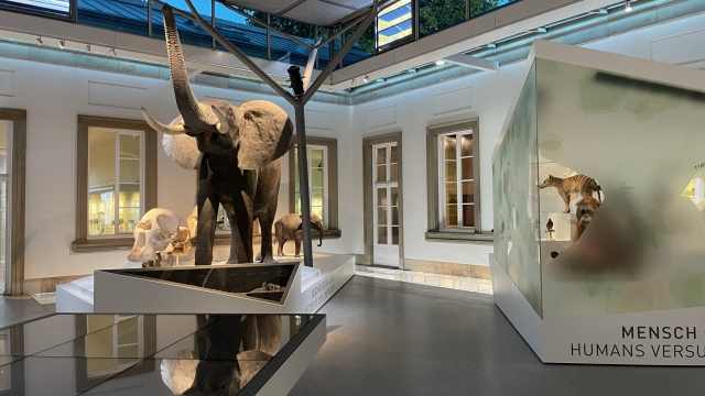 Naturkundemuseum in Schloss Rosenstein stuttgart ausflugstipp mamilade