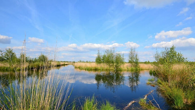 naturpark bourtanger moor ausflugstipp mamilade