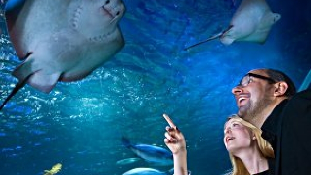 sealife berlin ausflugstipp mamilade