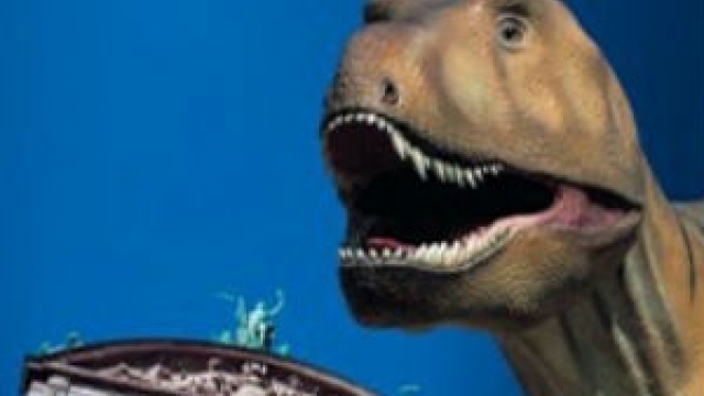 (c) Naturmuseum Senckenberg