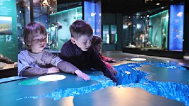 © Ozeaneum Stralsund, Foto: Johannes-Maria Schlorke, 2009 ozeaneum stralsund ausflugstipp mamilade