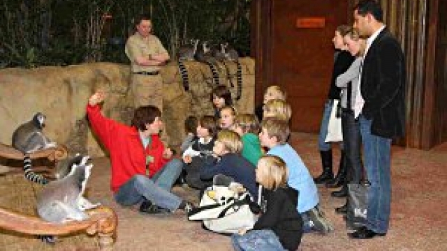 Kindergeburtstag im Tierpark Hagenbeck © Uwe Dillenberg Kindergeburtstag im Tierpark und im Tropen-Aquarium Hagenbeck in Hamburg