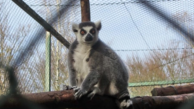 Tierpark Perleberg