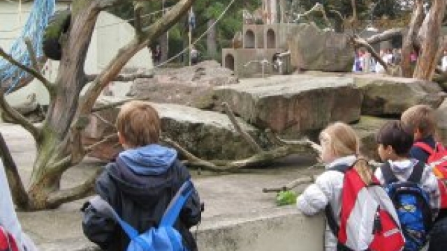 Zoo Heidelberg (c) alex grom